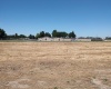 Vista Grande LOT 2B, Grandview, Washington 98930, ,Other,For Sale,Vista Grande LOT 2B,280607