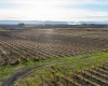 Hinzerling Rd, Prosser, Washington 99350, ,Agricultural,For Sale,Hinzerling Rd,280831