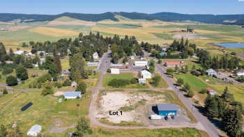 Main St. (Lot 1), Farmington, Washington 99128, ,Residential,For Sale,Main St. (Lot 1),263244