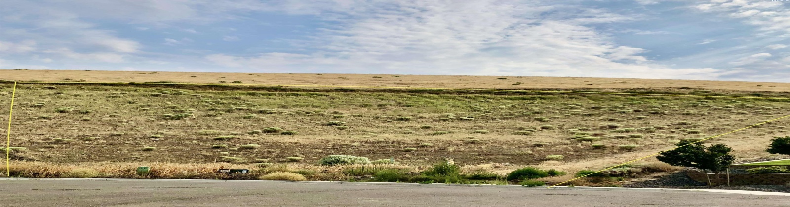 Palouse Ct- Lot 224, Kennewick, Washington 99337, ,Residential,For Sale,Palouse Ct- Lot 224,263419