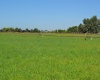 Old Inland Empire Highway, Prosser, Washington 99350, ,Agricultural,For Sale,Old Inland Empire Highway,263817