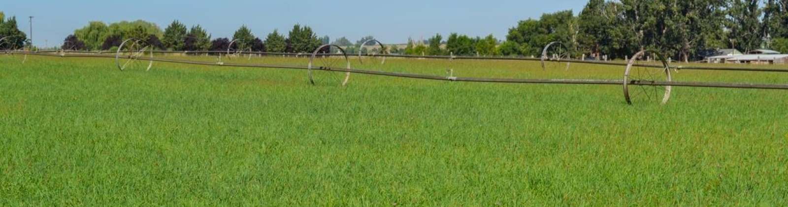 Old Inland Empire Highway, Prosser, Washington 99350, ,Agricultural,For Sale,Old Inland Empire Highway,263817