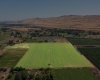 Old Inland Empire Highway, Prosser, Washington 99350, ,Agricultural,For Sale,Old Inland Empire Highway,263817