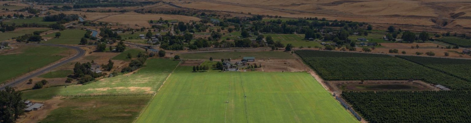 Old Inland Empire Highway, Prosser, Washington 99350, ,Agricultural,For Sale,Old Inland Empire Highway,263817