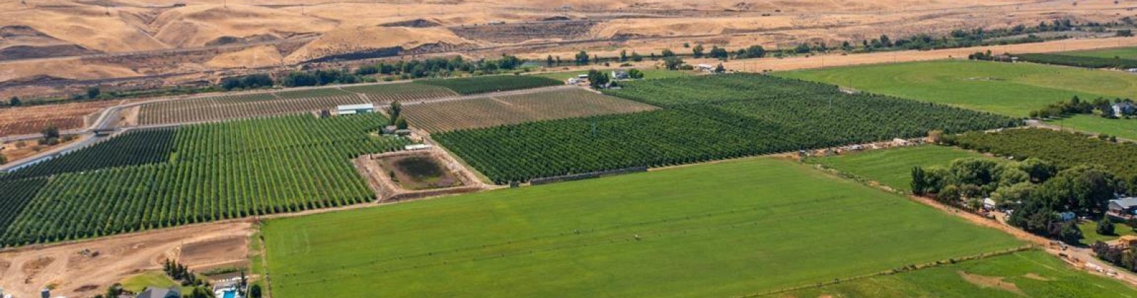 Old Inland Empire Highway, Prosser, Washington 99350, ,Agricultural,For Sale,Old Inland Empire Highway,263817