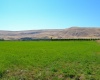 Old Inland Empire Highway, Prosser, Washington 99350, ,Agricultural,For Sale,Old Inland Empire Highway,263817