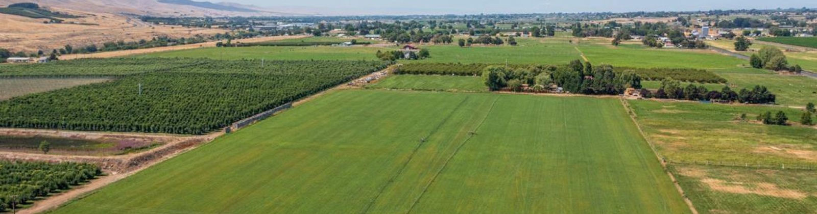 Old Inland Empire Highway, Prosser, Washington 99350, ,Agricultural,For Sale,Old Inland Empire Highway,263817