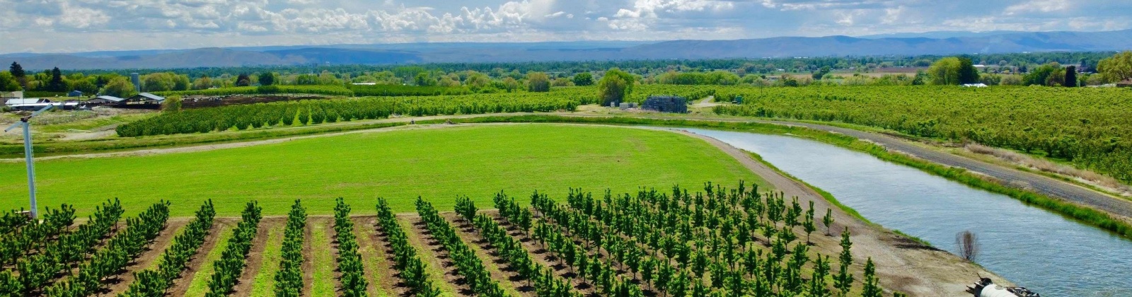 Sunnyside Canal, Zillah, Washington 98953, ,Agricultural,For Sale,Sunnyside Canal,268169