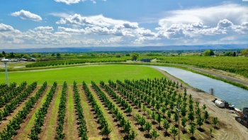 Sunnyside Canal, Zillah, Washington 98953, ,Agricultural,For Sale,Sunnyside Canal,268169