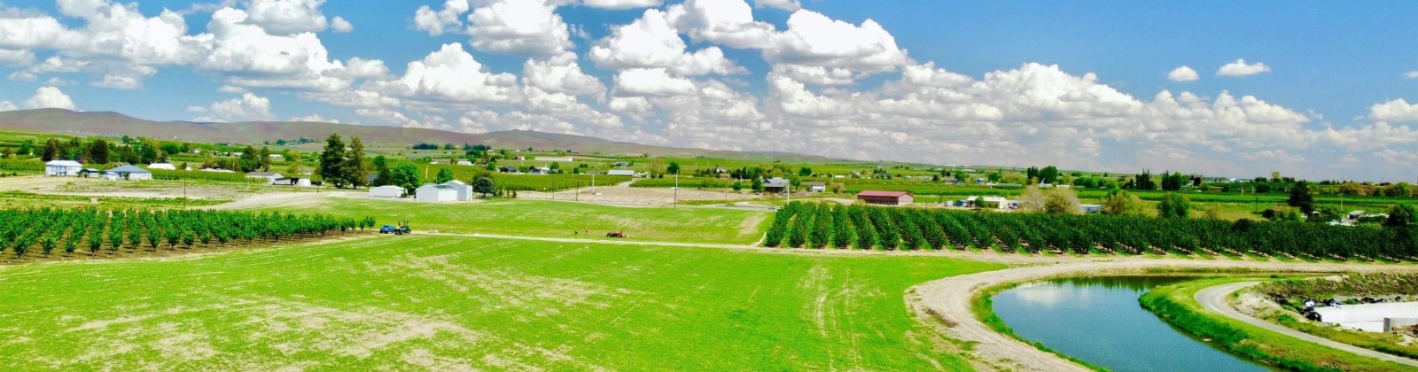 Sunnyside Canal, Zillah, Washington 98953, ,Agricultural,For Sale,Sunnyside Canal,268169