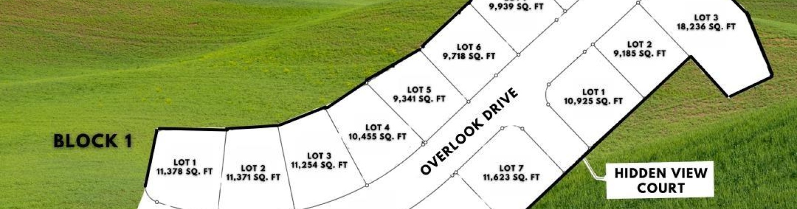 Overlook Drive, Pullman, Washington 99163, ,Residential,For Sale,Overlook Drive,268381