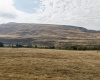 Hess Rd, Lot 1, Prosser, Washington 99350, ,Residential,For Sale,Hess Rd, Lot 1,270986