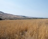 Hess Rd, Lot 1, Prosser, Washington 99350, ,Residential,For Sale,Hess Rd, Lot 1,270986