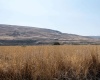 Hess Rd, Lot 2, Prosser, Washington 99350, ,Residential,For Sale,Hess Rd, Lot 2,270987