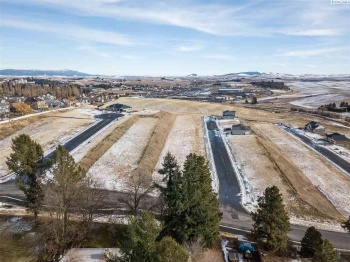 Wallowa, Pullman, Washington 99163, ,Residential,For Sale,Wallowa,250938