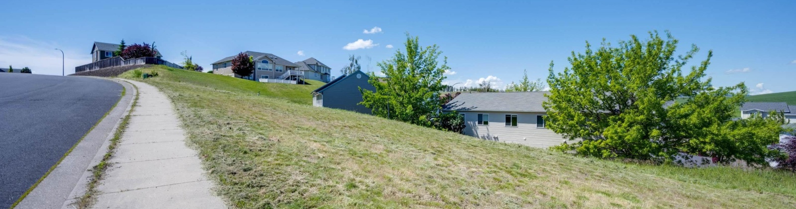 Terre View Dr, Pullman, Washington 99163, ,Residential,For Sale,Terre View Dr,273081