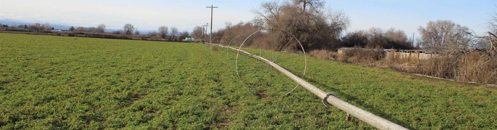 Green Valley Road, Sunnyside, Washington 98944, ,Agricultural,For Sale,Green Valley Road,273103