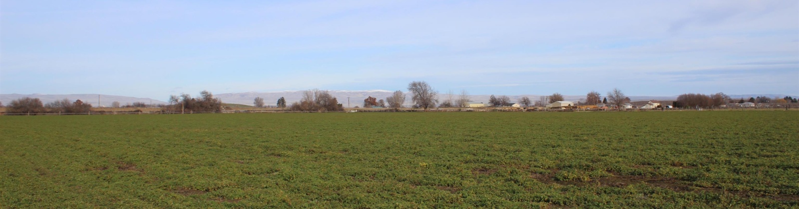 Green Valley Road, Sunnyside, Washington 98944, ,Agricultural,For Sale,Green Valley Road,273103