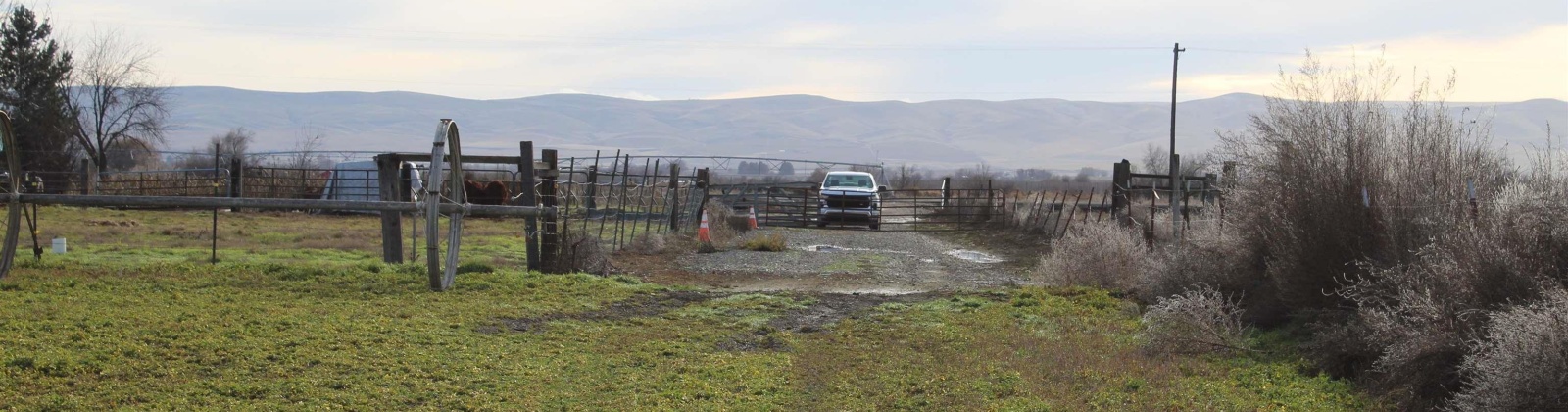 Green Valley Road, Sunnyside, Washington 98944, ,Agricultural,For Sale,Green Valley Road,273103