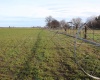 Green Valley Road, Sunnyside, Washington 98944, ,Agricultural,For Sale,Green Valley Road,273103