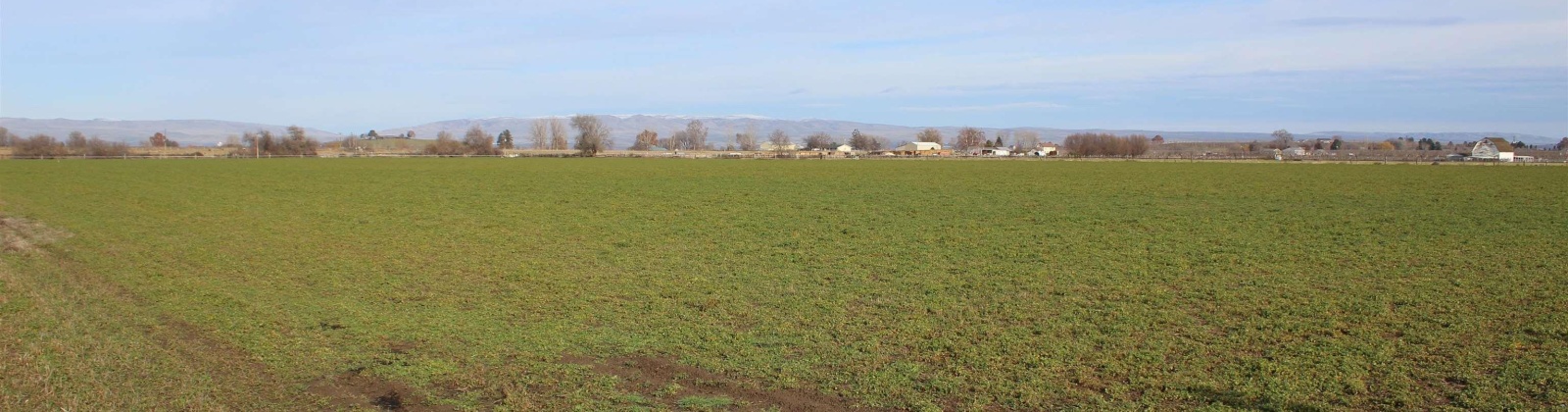 Green Valley Road, Sunnyside, Washington 98944, ,Agricultural,For Sale,Green Valley Road,273103