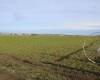 Green Valley Road, Sunnyside, Washington 98944, ,Agricultural,For Sale,Green Valley Road,273103