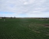 Bunchgrass Lane, Walla Walla, Washington 99362, ,Agricultural,For Sale,Bunchgrass Lane,273321