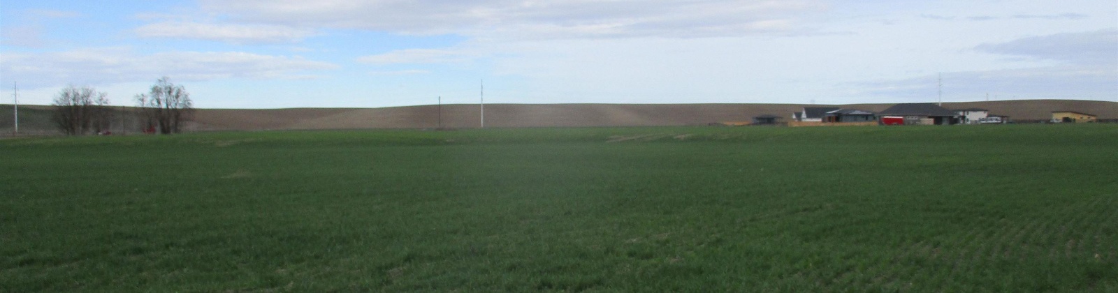 Bunchgrass Lane, Walla Walla, Washington 99362, ,Agricultural,For Sale,Bunchgrass Lane,273321