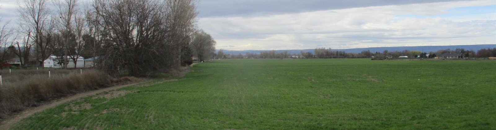 Bunchgrass Lane, Walla Walla, Washington 99362, ,Agricultural,For Sale,Bunchgrass Lane,273321