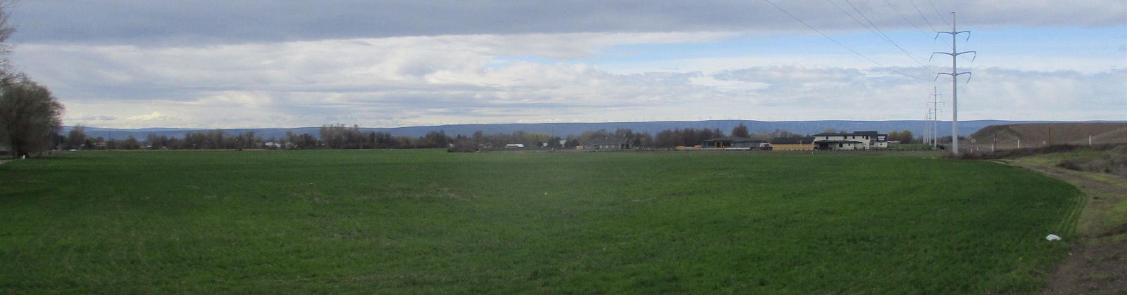 Bunchgrass Lane, Walla Walla, Washington 99362, ,Agricultural,For Sale,Bunchgrass Lane,273321