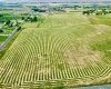 Liberty Rd., Granger, Washington 98932, ,Agricultural,For Sale,Liberty Rd.,273465