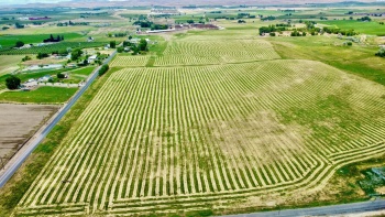 Liberty Rd., Granger, Washington 98932, ,Agricultural,For Sale,Liberty Rd.,273465