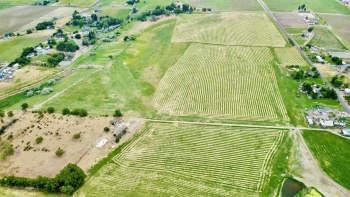 Liberty Rd., Granger, Washington 98932, ,Agricultural,For Sale,Liberty Rd.,273464