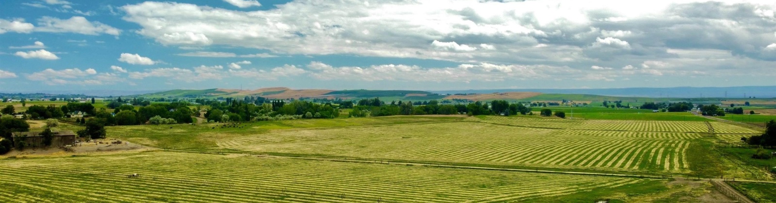 Liberty Rd., Granger, Washington 98932, ,Agricultural,For Sale,Liberty Rd.,273464