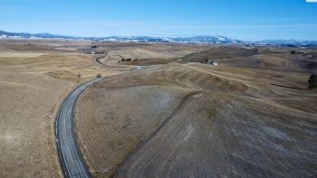 SR Hwy 272, Palouse, Palouse, Washington 99161, ,Agricultural,For Sale,SR Hwy 272, Palouse,267772