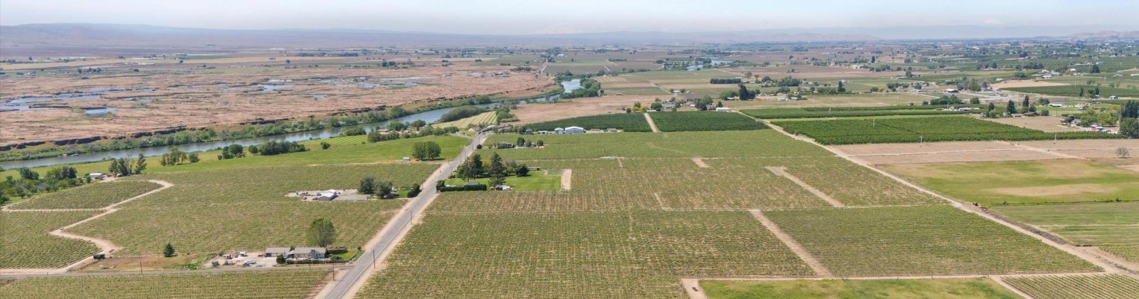 Old Inland Empire Hwy, Prosser, Washington 99350, ,Vineyard,For Sale,Old Inland Empire Hwy,276040