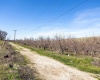 Lombard Loop Rd, Zillah, Washington 98953, ,Orchard,For Sale,Lombard Loop Rd,274623