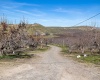 Lombard Loop Rd, Zillah, Washington 98953, ,Orchard,For Sale,Lombard Loop Rd,274623