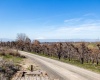 Lombard Loop Rd, Zillah, Washington 98953, ,Orchard,For Sale,Lombard Loop Rd,274623