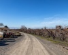 Lombard Loop Rd, Zillah, Washington 98953, ,Orchard,For Sale,Lombard Loop Rd,274623