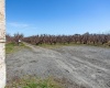 Lombard Loop Rd, Zillah, Washington 98953, ,Orchard,For Sale,Lombard Loop Rd,274623