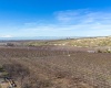 Lombard Loop Rd, Zillah, Washington 98953, ,Orchard,For Sale,Lombard Loop Rd,274623