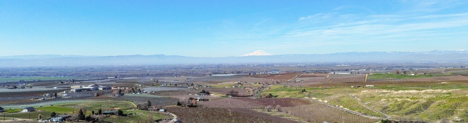 Lombard Loop Rd, Zillah, Washington 98953, ,Orchard,For Sale,Lombard Loop Rd,274623