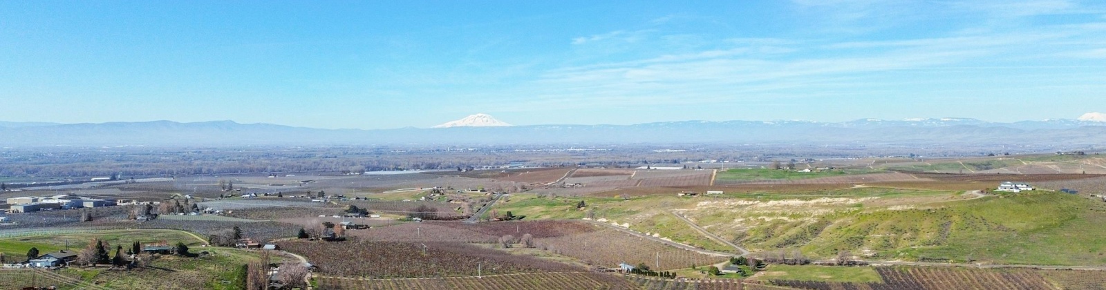 Lombard Loop Rd, Zillah, Washington 98953, ,Orchard,For Sale,Lombard Loop Rd,274623