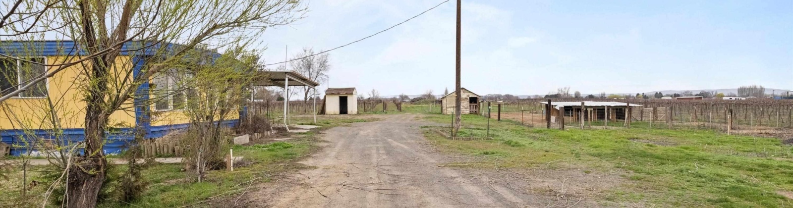 Old Inland Empire Hwy, Prosser, Washington 99350-7727, ,Vineyard,For Sale,Old Inland Empire Hwy,274624