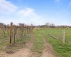 Old Inland Empire Hwy, Prosser, Washington 99350-7727, ,Vineyard,For Sale,Old Inland Empire Hwy,274624