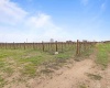 Old Inland Empire Hwy, Prosser, Washington 99350-7727, ,Vineyard,For Sale,Old Inland Empire Hwy,274624