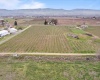 Old Inland Empire Hwy, Prosser, Washington 99350-7727, ,Vineyard,For Sale,Old Inland Empire Hwy,274624