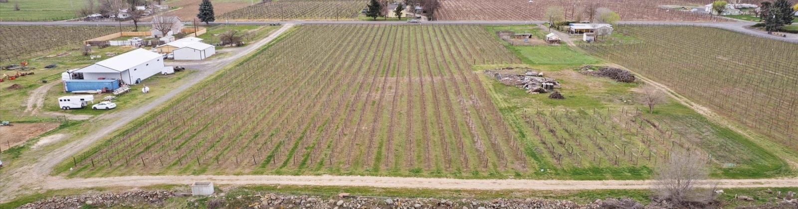 Old Inland Empire Hwy, Prosser, Washington 99350-7727, ,Vineyard,For Sale,Old Inland Empire Hwy,274624