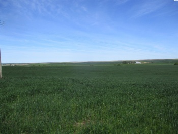 Lower Dry Creek Road, Walla Walla, Washington, ,Irrigated,For Sale,Lower Dry Creek Road,276533